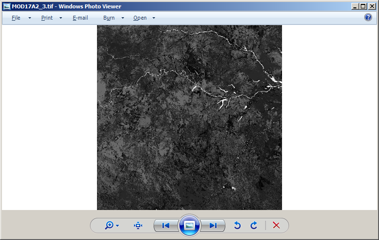 Windows Photo Viewer screenshot of MOD17A2_3.tif
