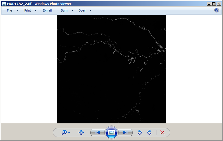 Windows Photo Viewer screenshot of MOD17A2_2.tif