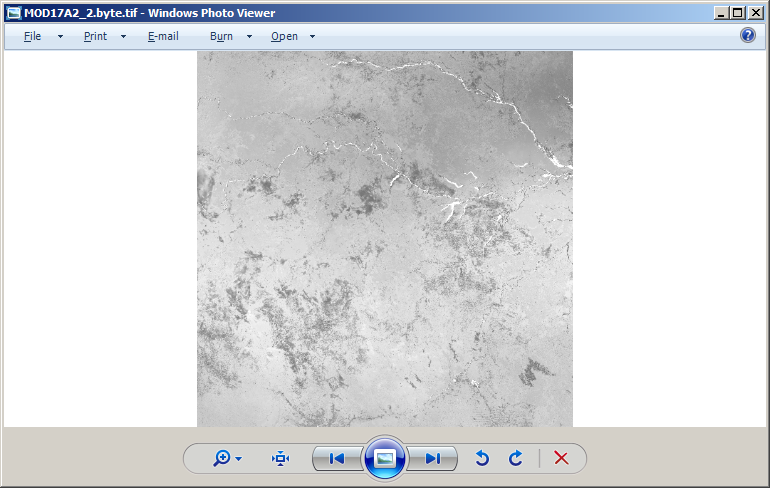Windows Photo Viewer screenshot of MOD17A2_2.byte.tif
